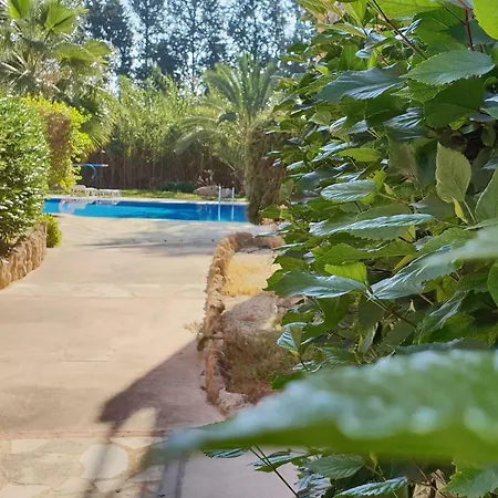 Trx & Yoga In Paradise Garden 4 - Luxus